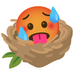 empty nest and hot face