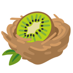 empty nest and kiwi fruit