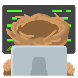 empty nest and laptop