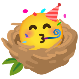 empty nest and partying face