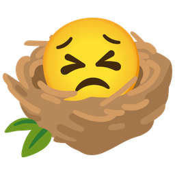 empty nest and persevering face