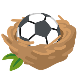 empty nest and soccer ball