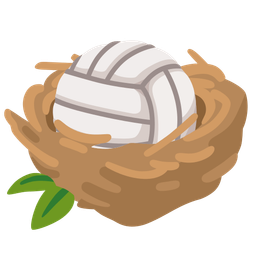 empty nest and volleyball