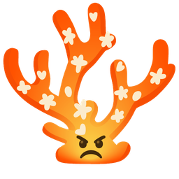 enraged face and coral