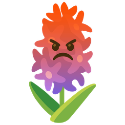 enraged face and hyacinth