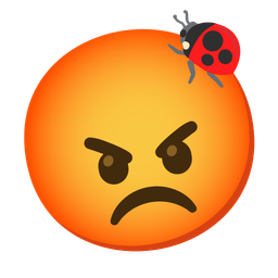 enraged face and lady beetle