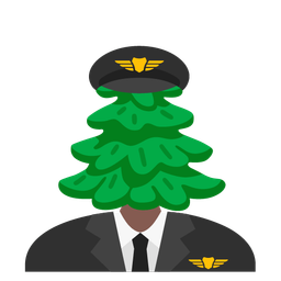 evergreen tree and airplane