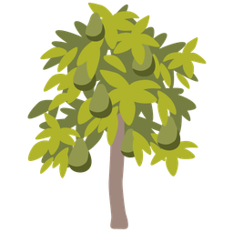 evergreen tree and avocado