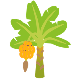 evergreen tree and banana