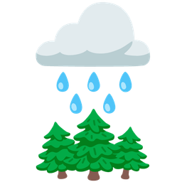 evergreen tree and cloud with rain