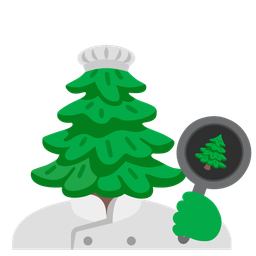 evergreen tree and cooking