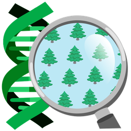 evergreen tree and dna