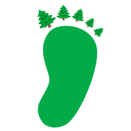 evergreen tree and footprints