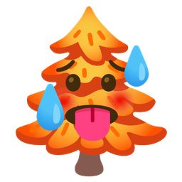 evergreen tree and hot face