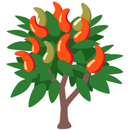 evergreen tree and hot pepper