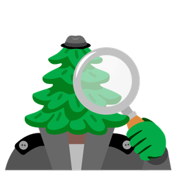 evergreen tree and magnifying glass tilted right