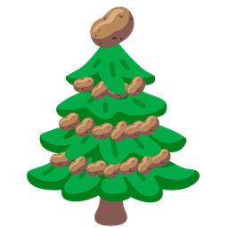 evergreen tree and potato