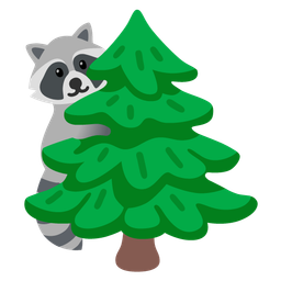 evergreen tree and raccoon