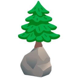 evergreen tree and rock