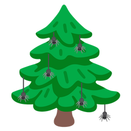 evergreen tree and spider