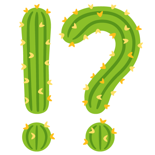 Exclamation question mark and Cactus