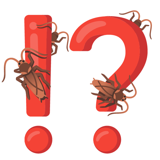 Exclamation question mark and Cockroach