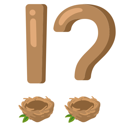 Exclamation question mark and Empty nest