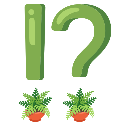 Exclamation question mark and Potted plant