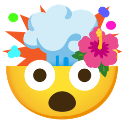 exploding head and hibiscus