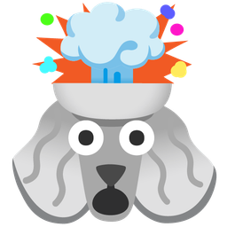 exploding head and poodle