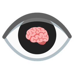 eye and brain