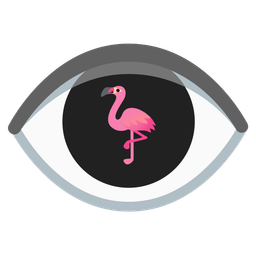 eye and flamingo