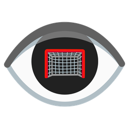 eye and goal net