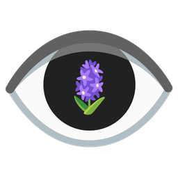 eye and hyacinth
