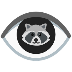 eye and raccoon