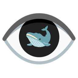 eye and spouting whale