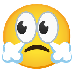 eyes and face with steam from nose