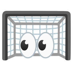 eyes and goal net