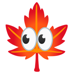eyes and maple leaf