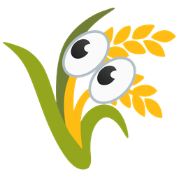 eyes and sheaf of rice