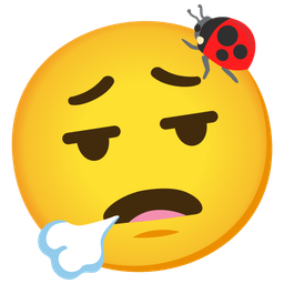 face exhaling and lady beetle