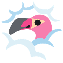 face in clouds and flamingo