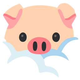 face in clouds and pig face