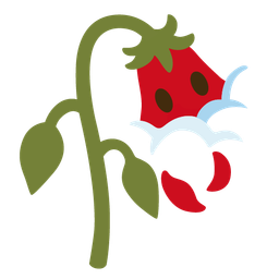 face in clouds and wilted flower