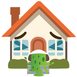 face vomiting and house