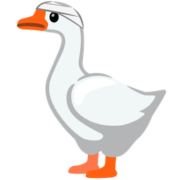 face with head-bandage and goose