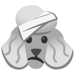 face with head-bandage and poodle