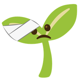 face with head-bandage and seedling