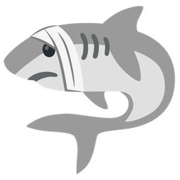 face with head-bandage and shark