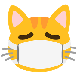 face with medical mask and cat face
